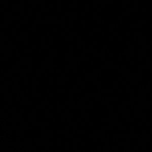 Meet your Posher, Hunter